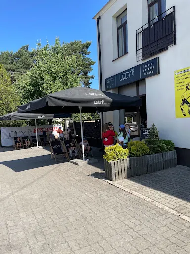 Lody by Szymon Sapieha Legionowo